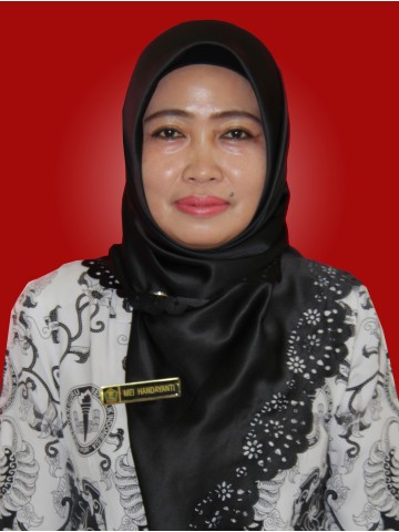 MEI HANDAYANTI, S.Pd